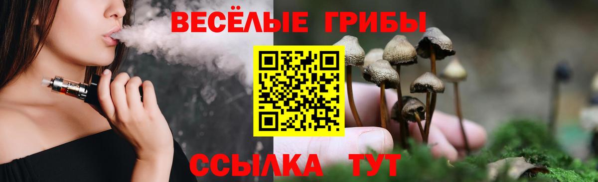 Галлюциногенные грибы Psilocybe  Вход с VPN  магазин  наркотиков  Ирбит 